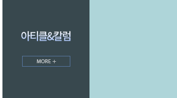 아티클&칼럼